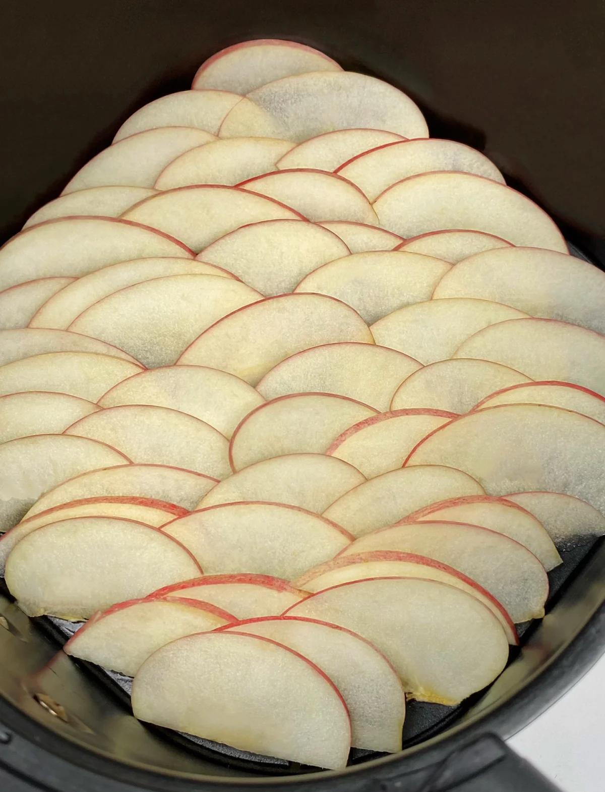 冰箱版苹果干(晒干的苹果干可以冷冻保存吗)-第2张图片-QuickQ官网