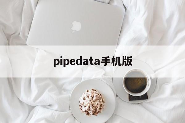 pipedata手机版(pipedatapro安卓版)-第3张图片-QuickQ官网 pipedata手机版(pipedatapro安卓版)-第3张图片-QuickQ官网
