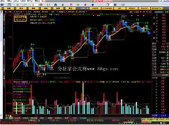 大智慧手机版公式(大智慧如何使用自己的公式)-第2张图片-QuickQ官网