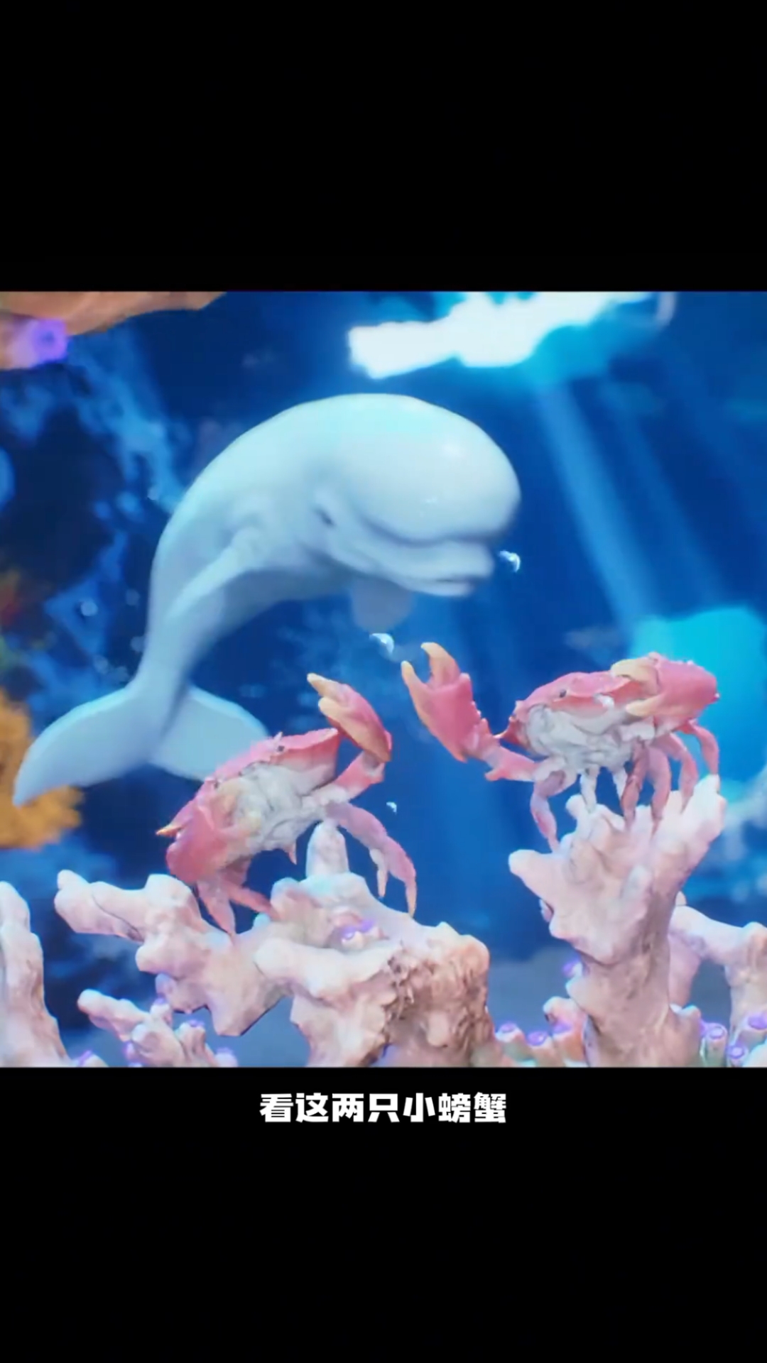 海底大猎杀手机苹果版(海底大猎杀苹果手机下载破解中文版)-第3张图片-QuickQ官网 海底大猎杀手机苹果版(海底大猎杀苹果手机下载破解中文版)-第3张图片-QuickQ官网