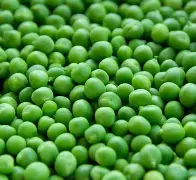 免费青苹果live苹果版的简单介绍