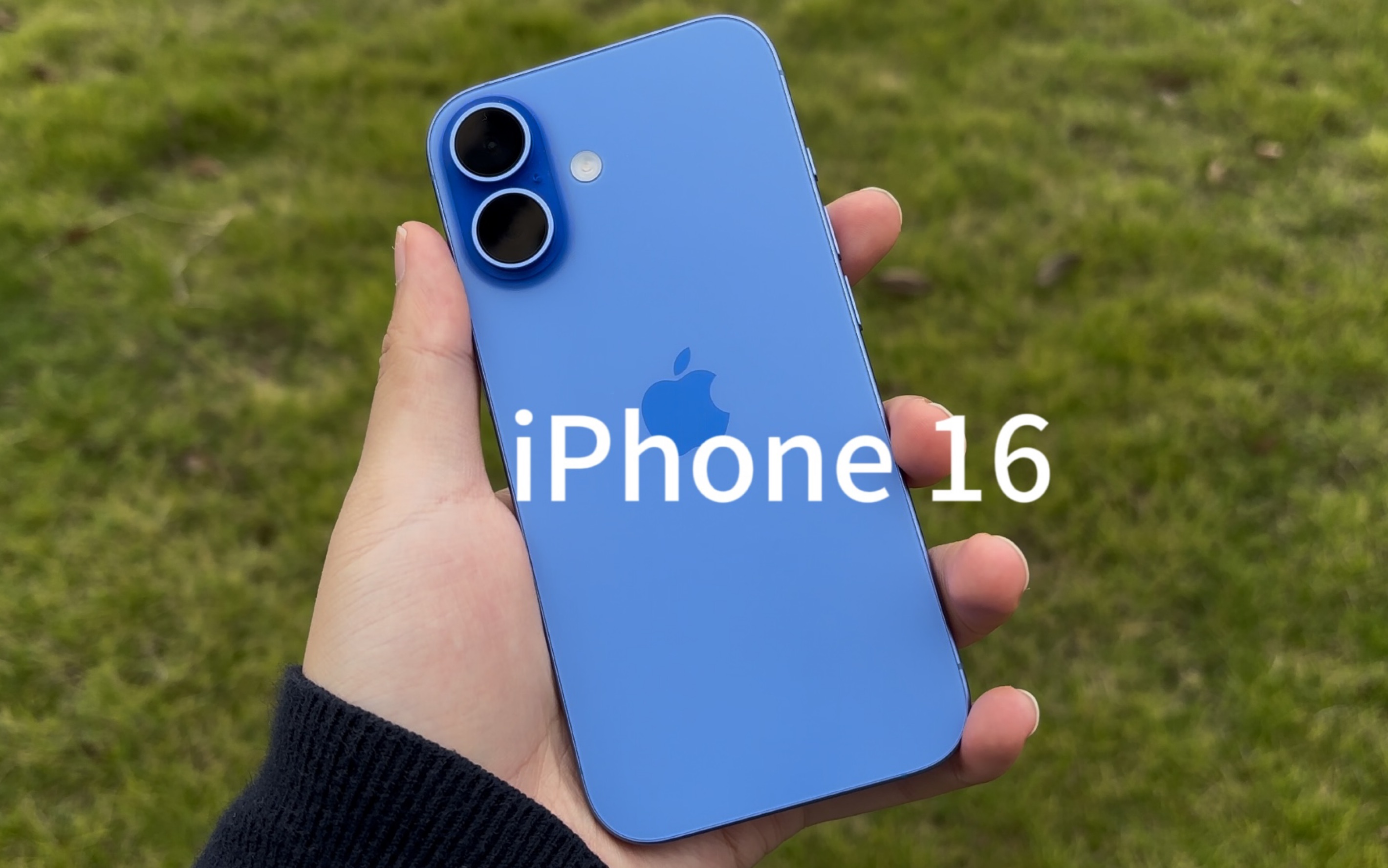 苹果版16(苹果版115不能下载链接)-第5张图片-QuickQ官网