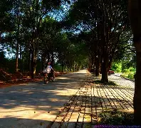 路边风景手机版下载(路边风景手机版下载最新版)-第3张图片-QuickQ官网 路边风景手机版下载(路边风景手机版下载最新版)-第3张图片-QuickQ官网
