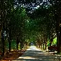 路边风景手机版下载(路边风景手机版下载最新版)-第5张图片-QuickQ官网 路边风景手机版下载(路边风景手机版下载最新版)-第5张图片-QuickQ官网